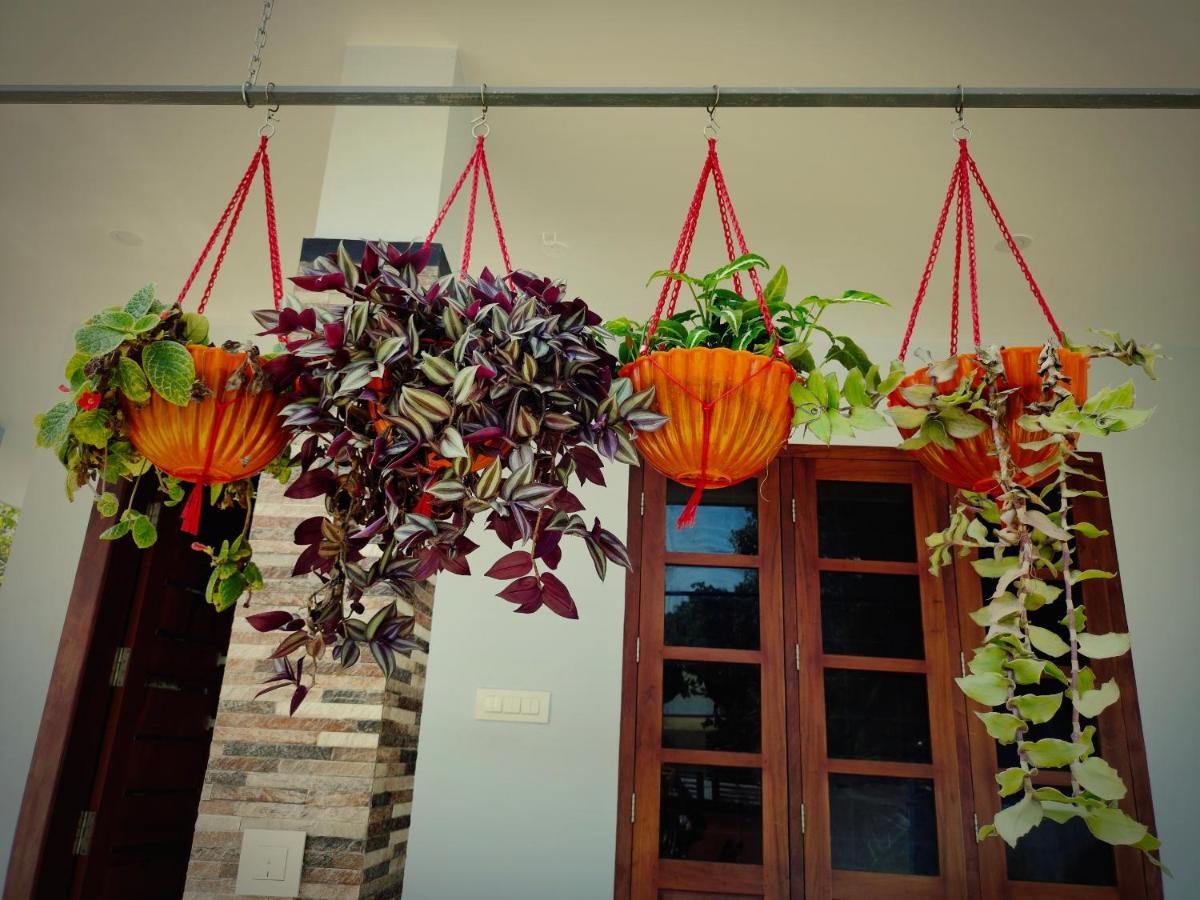 Malhar Marari Homestay マラリクラム エクステリア 写真